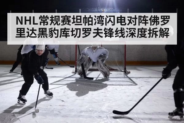 NHL常规赛坦帕湾闪电对阵佛罗里达黑豹库切罗夫锋线深度拆解